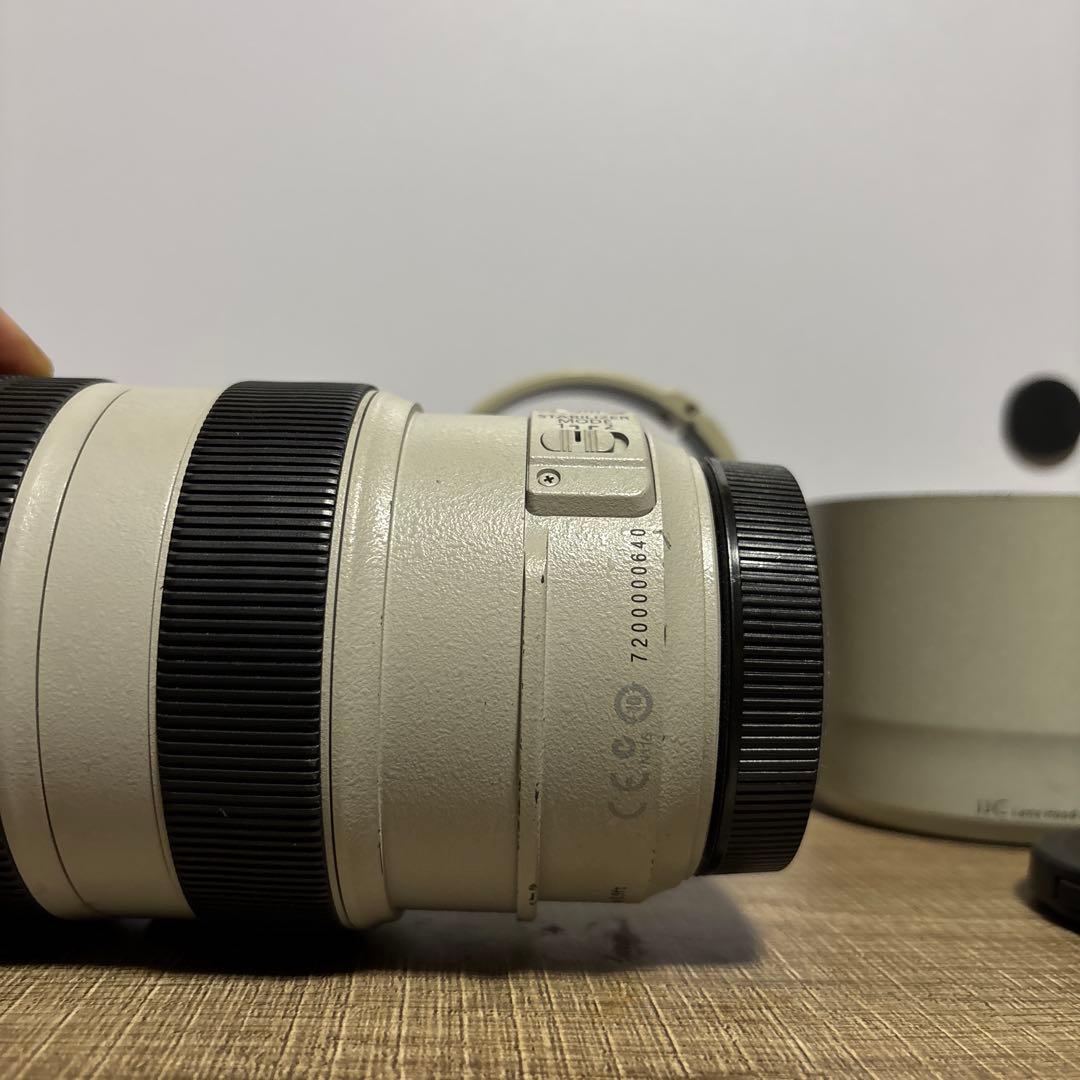 レンズ(ズーム) Canon EF 70-300 F4-5.6 L IS USM