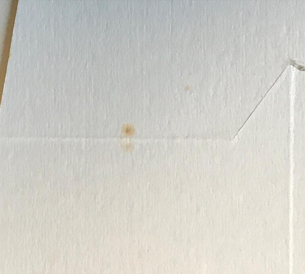 ☆ZARD 坂井泉水 「直筆ポップ・バッグ」