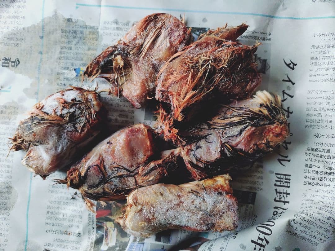 送料無料　訳あり冷凍処理済み親ウズラ70羽