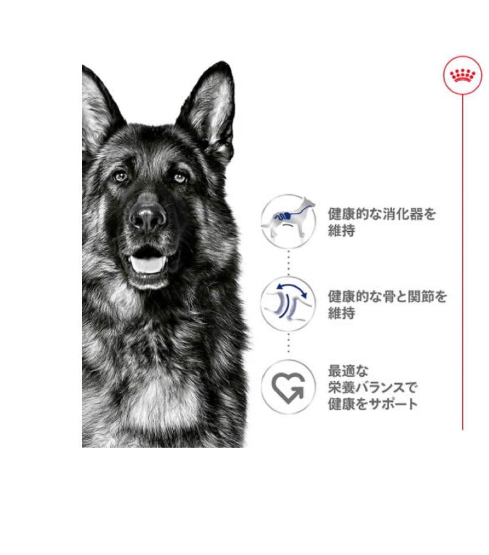 大型犬用 ドライフード 16kg 成犬用　 新品未開封　ロイヤルカナン