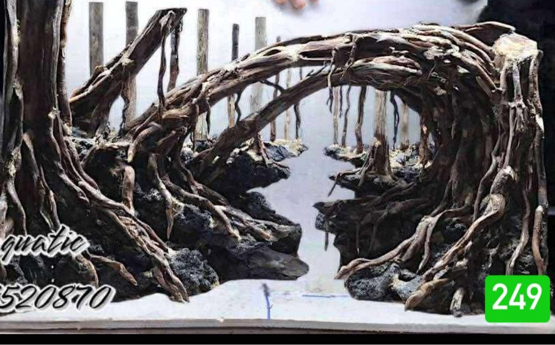 水槽用流木 アクアリウムレイアウト。水槽用流木 。水槽用レイアウト 盆栽流木