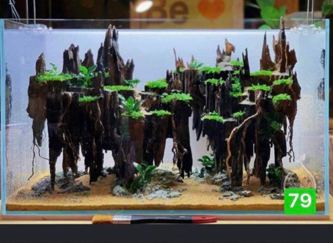 水槽用流木 アクアリウムレイアウト。水槽用流木 。水槽用レイアウト 盆栽流木