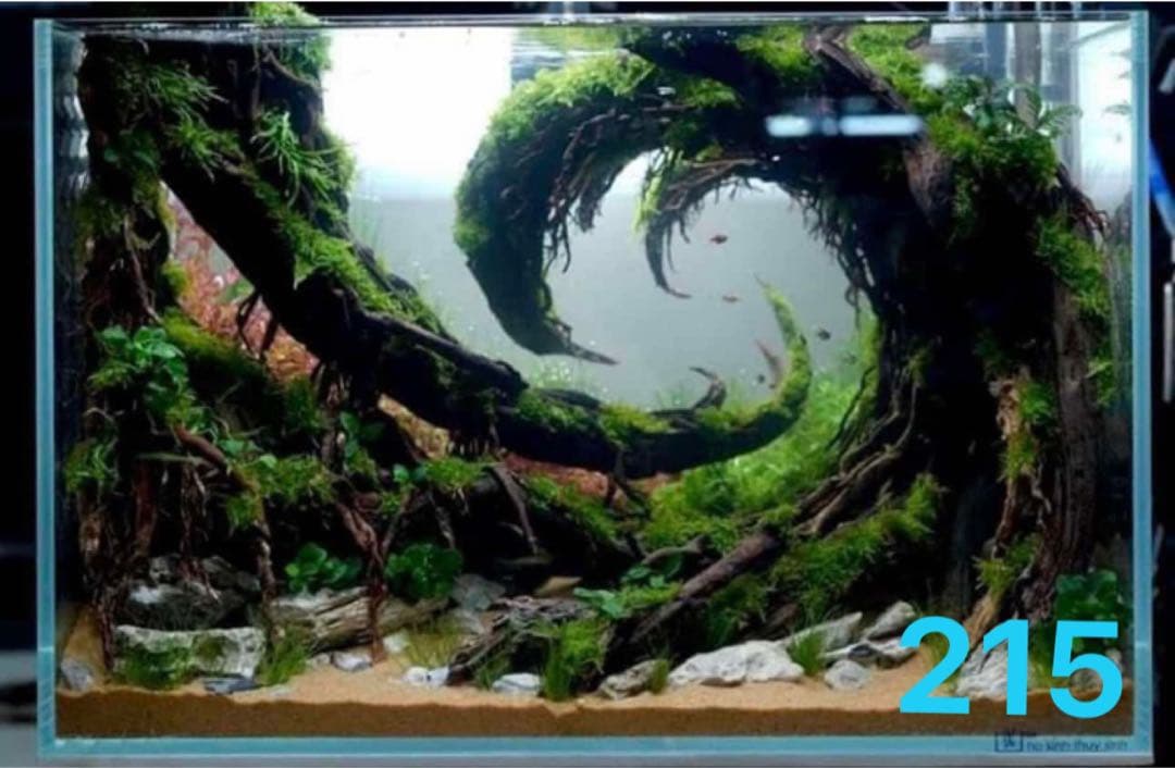 水槽用流木 アクアリウムレイアウト。水槽用流木 。水槽用レイアウト 盆栽流木