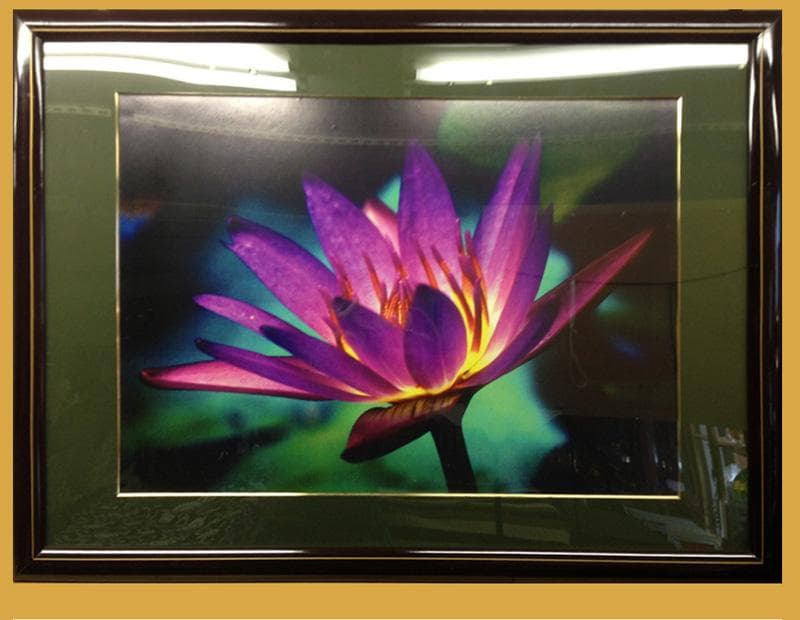 期間限定特価！　個展出品作品　特大芸術写真 ★ A1　 幻想の華 　額付