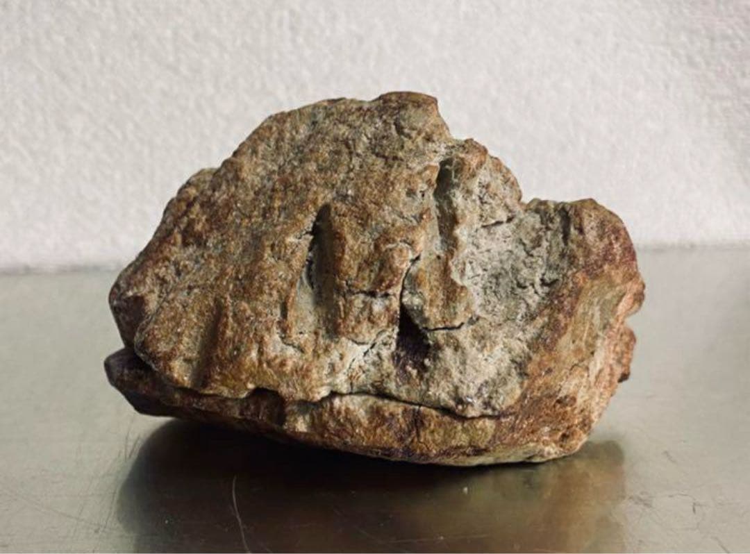 清水志郎 香合 茶道 茶道具 / 人間国宝 清水卯一氏の孫 陶器 陶芸 陶芸家