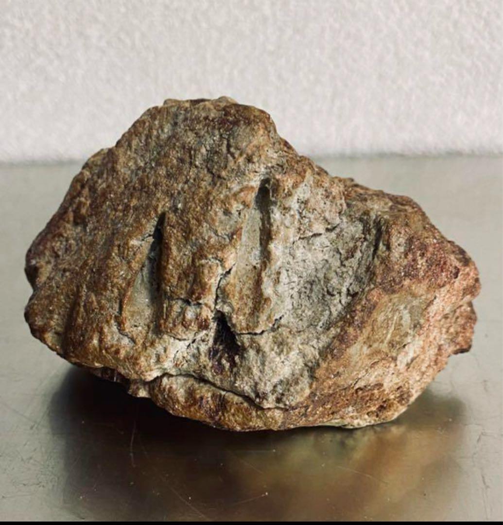 清水志郎 香合 茶道 茶道具 / 人間国宝 清水卯一氏の孫 陶器 陶芸 陶芸家