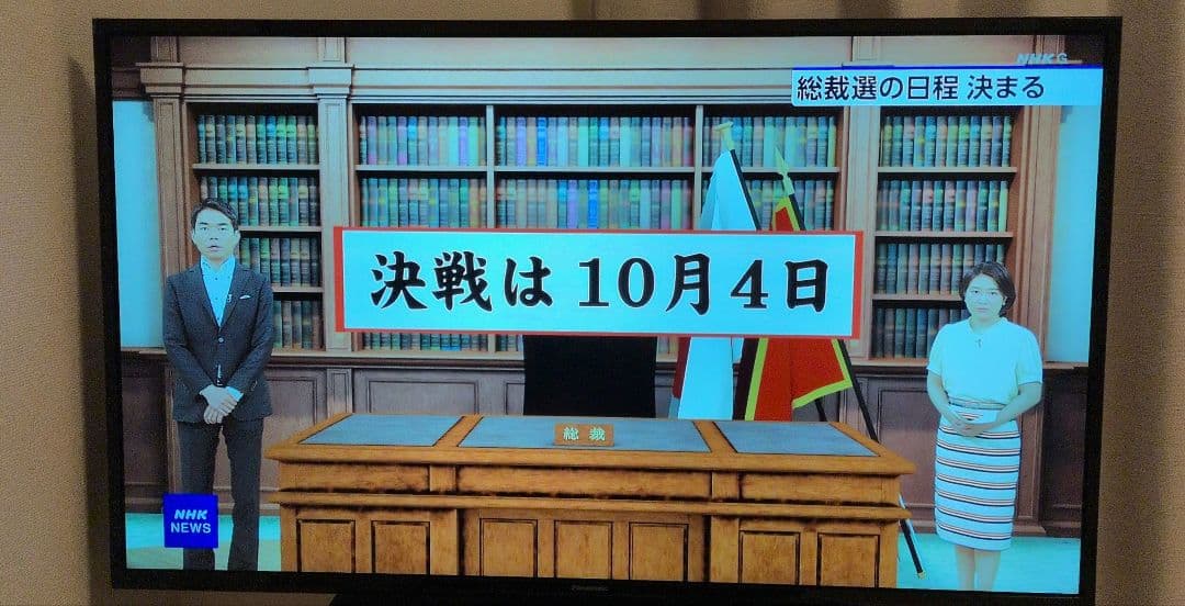 fishman　Panasonic TH-43GX500