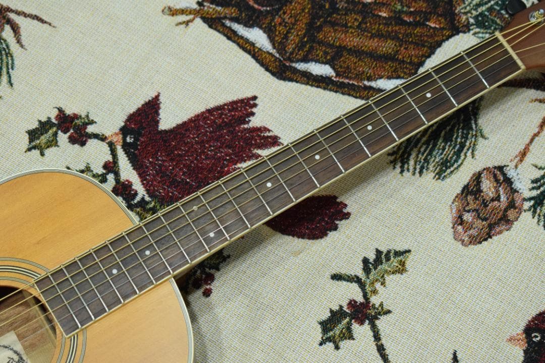 Headway HCN-003 アコースティックギター 状態良好！