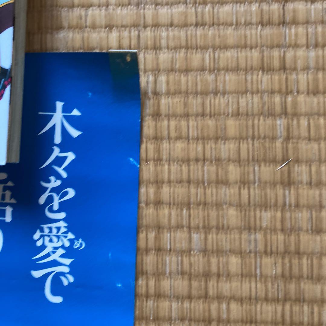 宮崎駿　ナウシカ　映画ポスター72×50 目立つ傷複数あり。