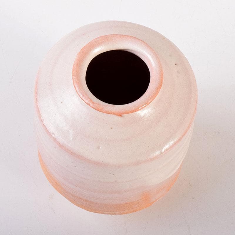 茶道具　萩焼　江月窯　肩衝茶入　在銘　共箱　V　6896