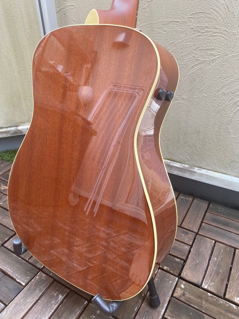 Fender MALIBU Player(フェンダー マリブ プレイヤー)