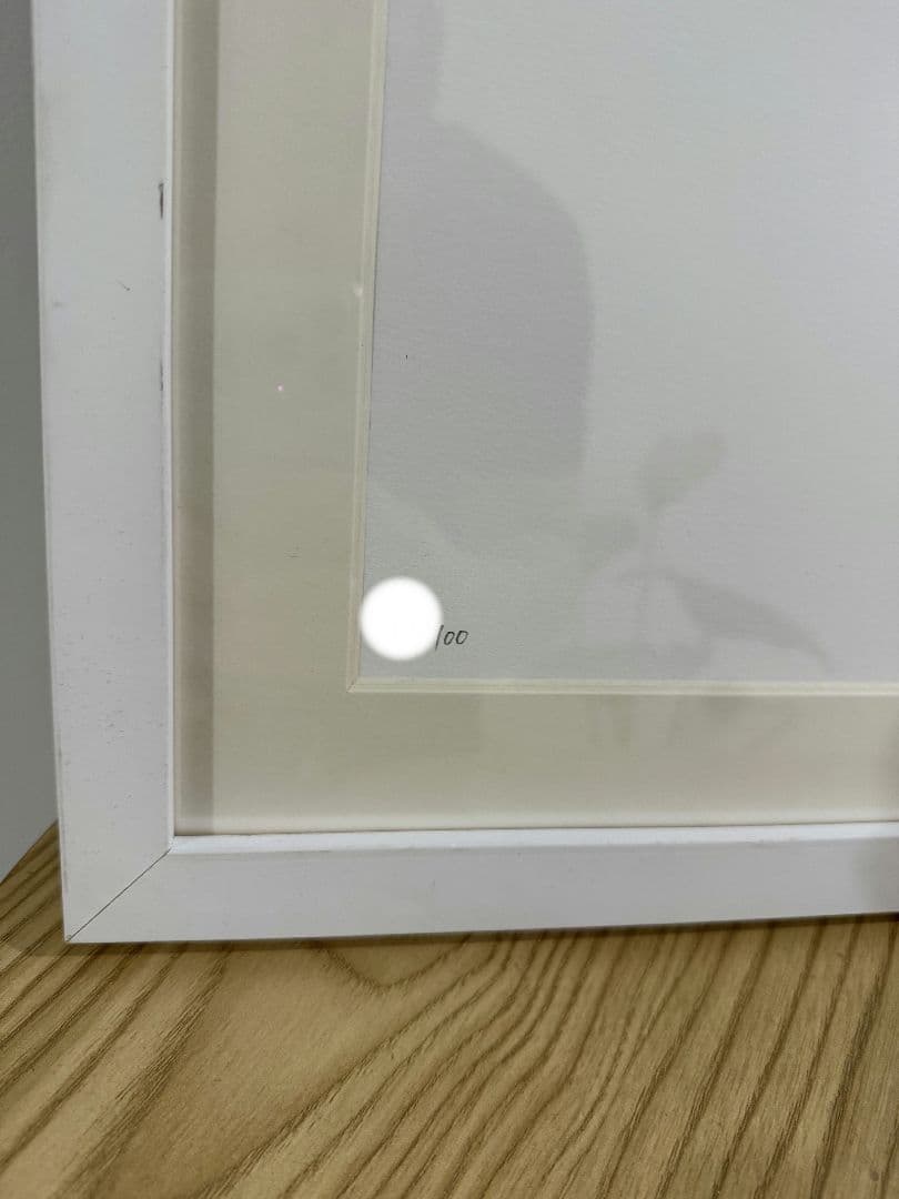 限定 直筆サイン 大友昇平 平成聖母 シルクスクリーン