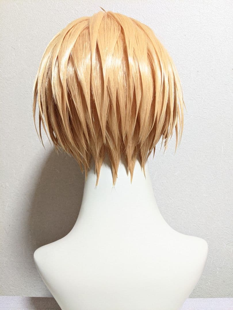 ✠朝倉 シン ウィッグ✠セット済 SAKAMOTODAYS