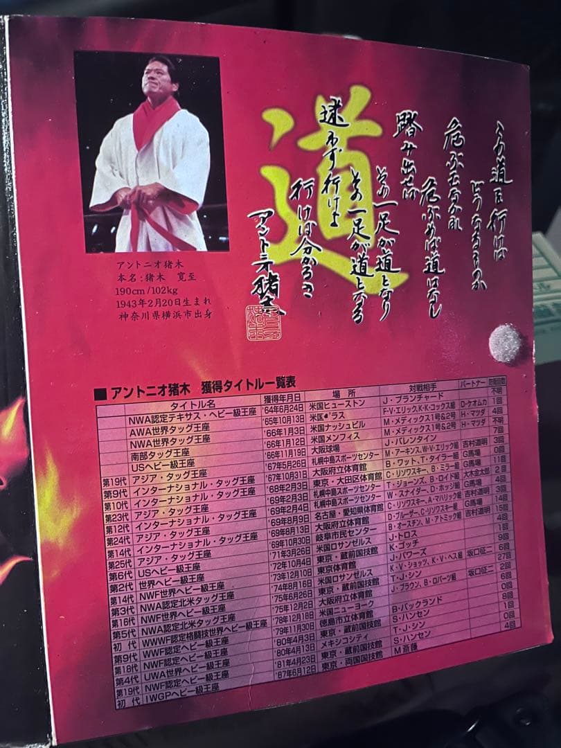 【激レア】アントニオ猪木闘魂フィギュア芸能人ソフビ　figure Antonio