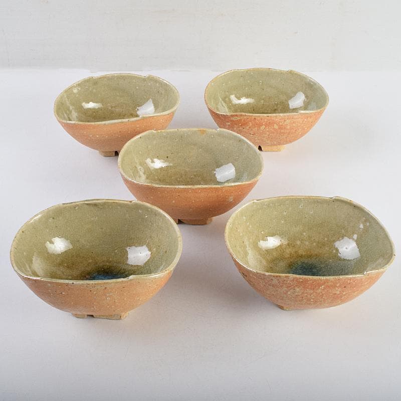 茶道具　須田祥豊造　信楽写　花橘茶碗　五客　共布共箱　V　R9366B