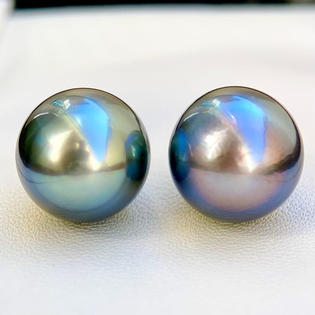 本真珠南洋黒蝶真珠グリーン虹色13.5×11.5㍉ピアスBL913