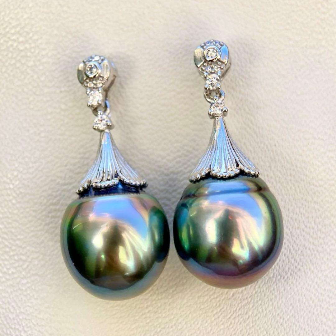 本真珠南洋黒蝶真珠グリーン虹色13.5×11.5㍉ピアスBL913