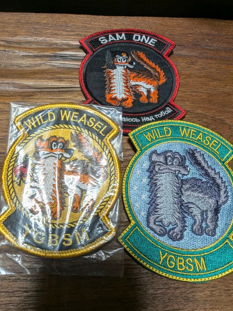 米空軍 F-16 デモチーム WILD WEASEL