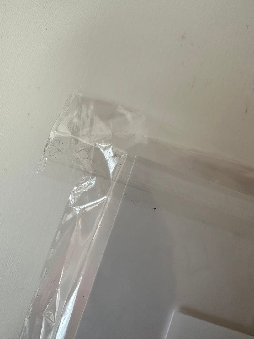 RIIZE ペンミ ぬいぐるみバッジ リズコ ショウタロウ