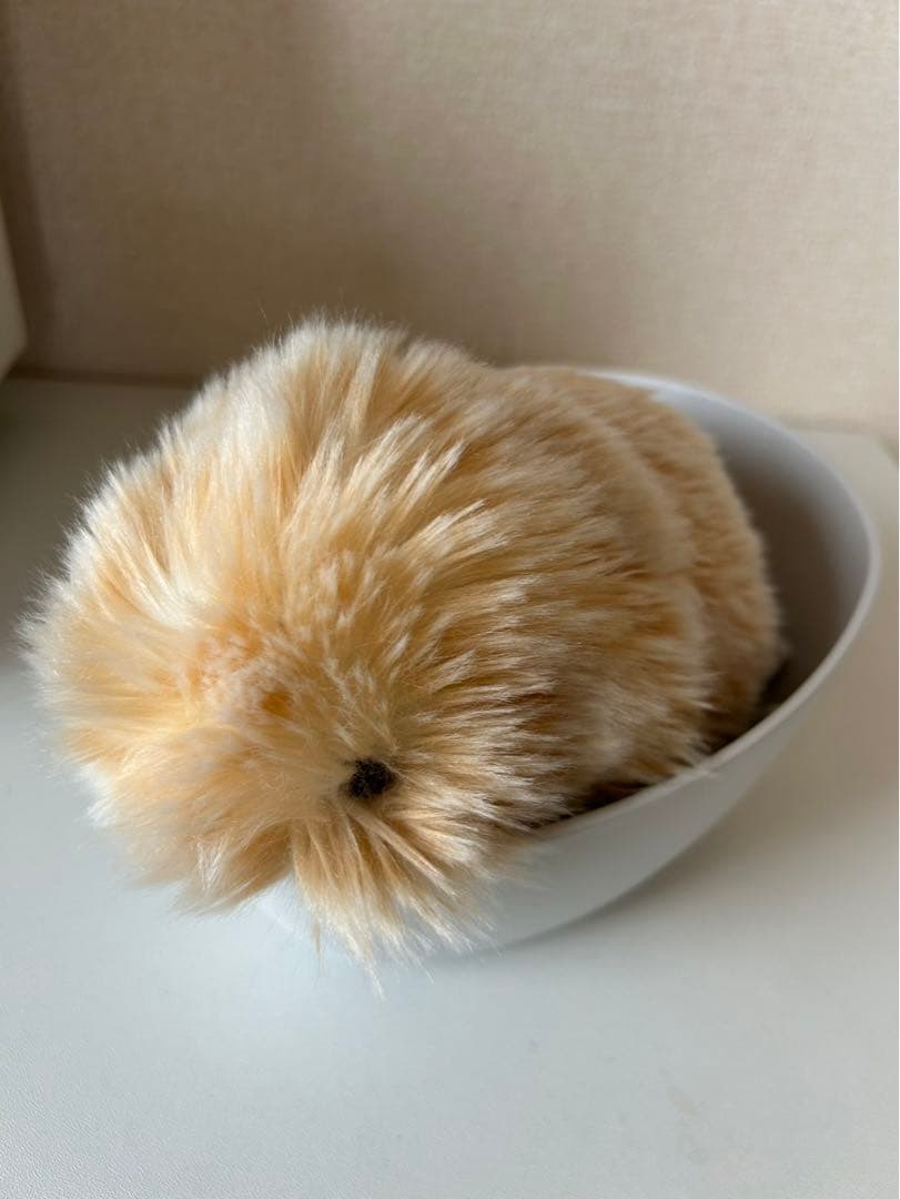 モフリン　moflin CACIO