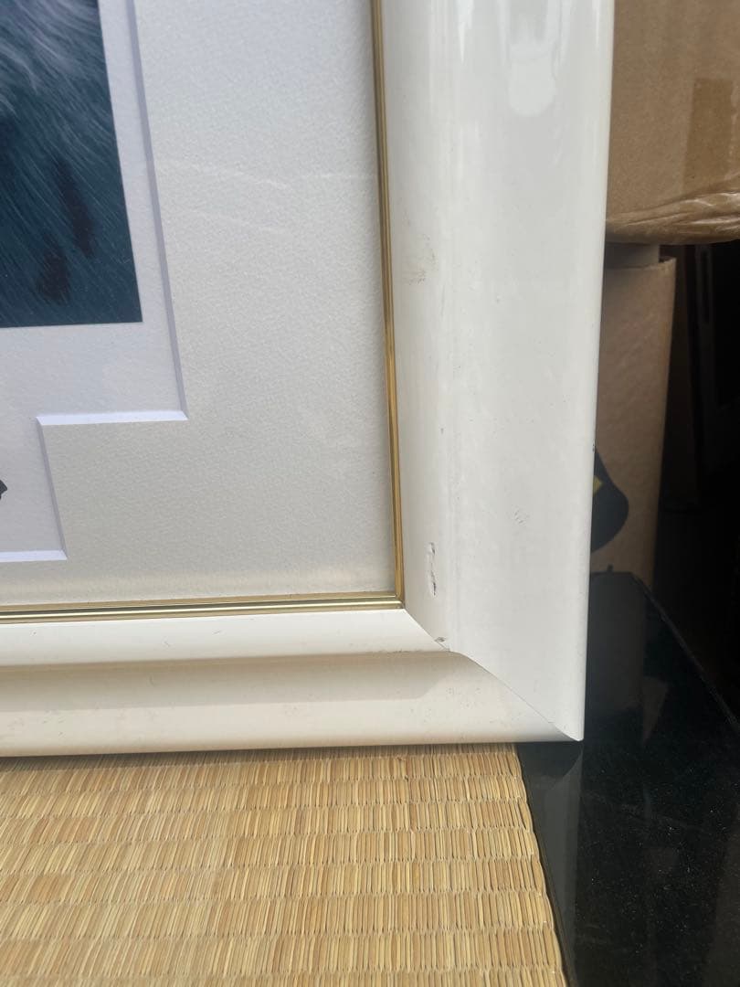 真作保証シムシメール　「ピースオンアース」 限定NO. 6/195 保証書付き