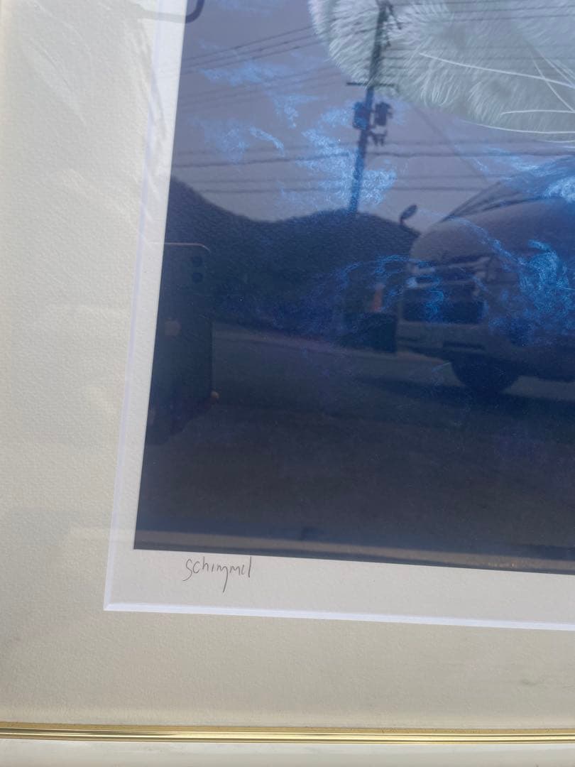 真作保証シムシメール　「ピースオンアース」 限定NO. 6/195 保証書付き