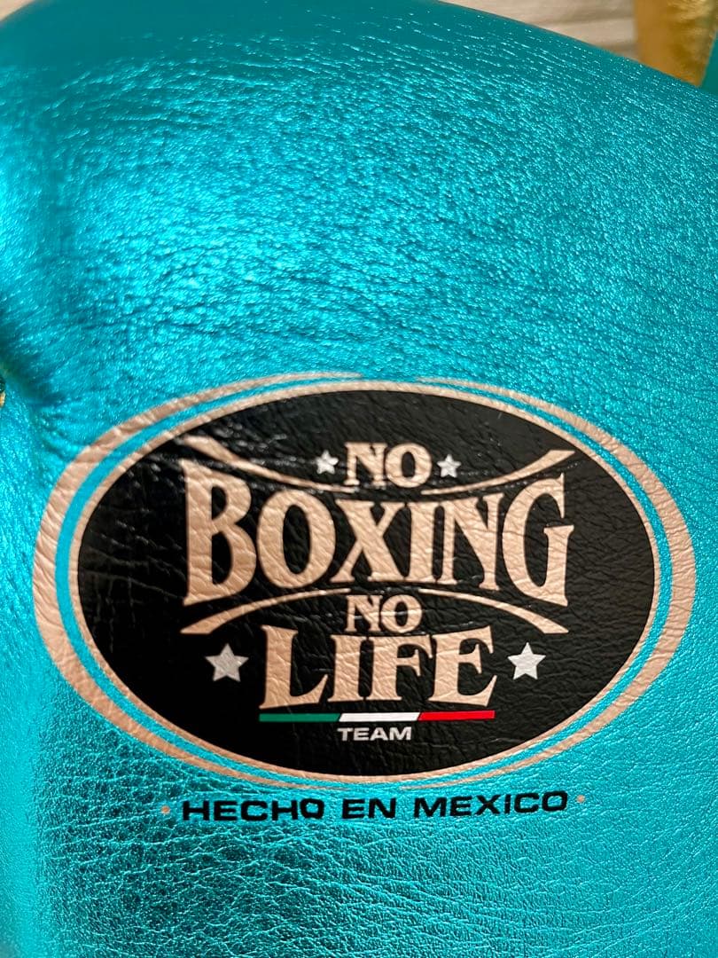 【最終値下げ】No boxing No life スパーリンググローブ 14oz