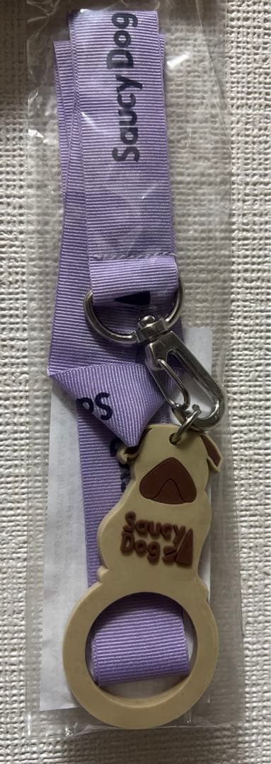 Saucy Dog ステッカー　ストラップ　缶バッジ　フライヤー