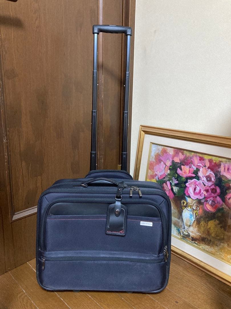 極美品 ANADesign ビジネスキャリーバッグ 機内持込可能 ビジネスバッグ