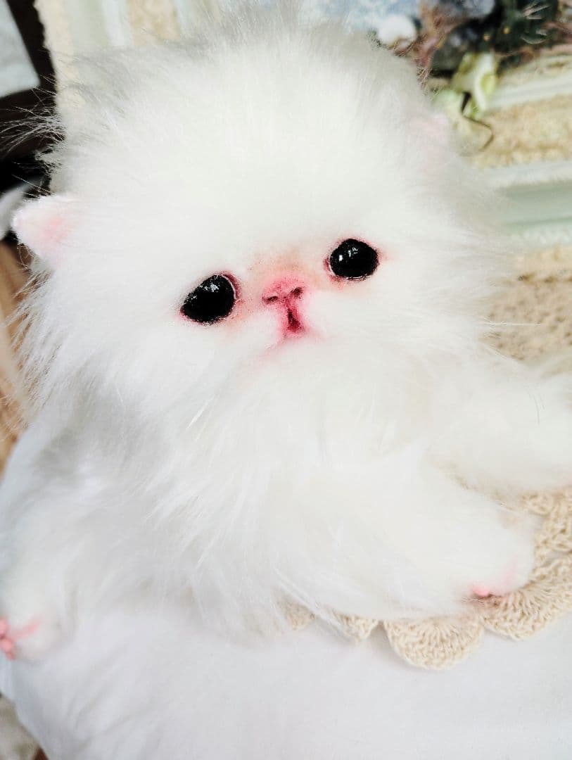 子猫♡寝起きのシロップちゃん♡アートドール♡ぬいぐるみ♡