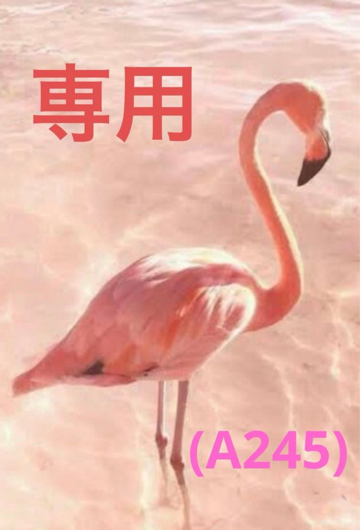 ★専用★ マスキングテープ　(A245)