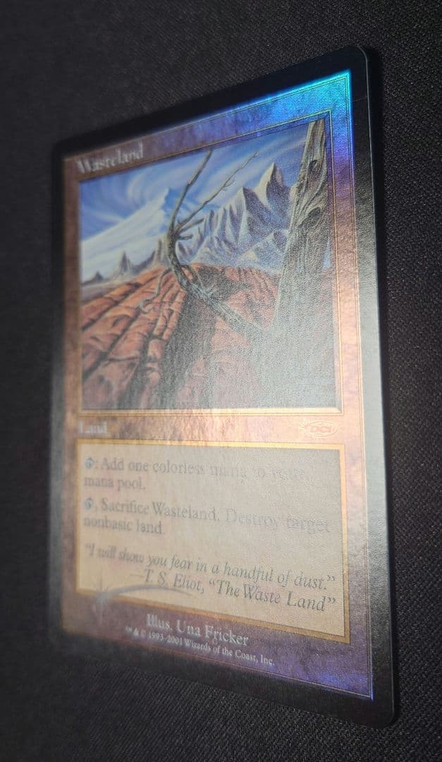 MTG 不毛の大地 プログラム褒賞 英語 foil 1枚