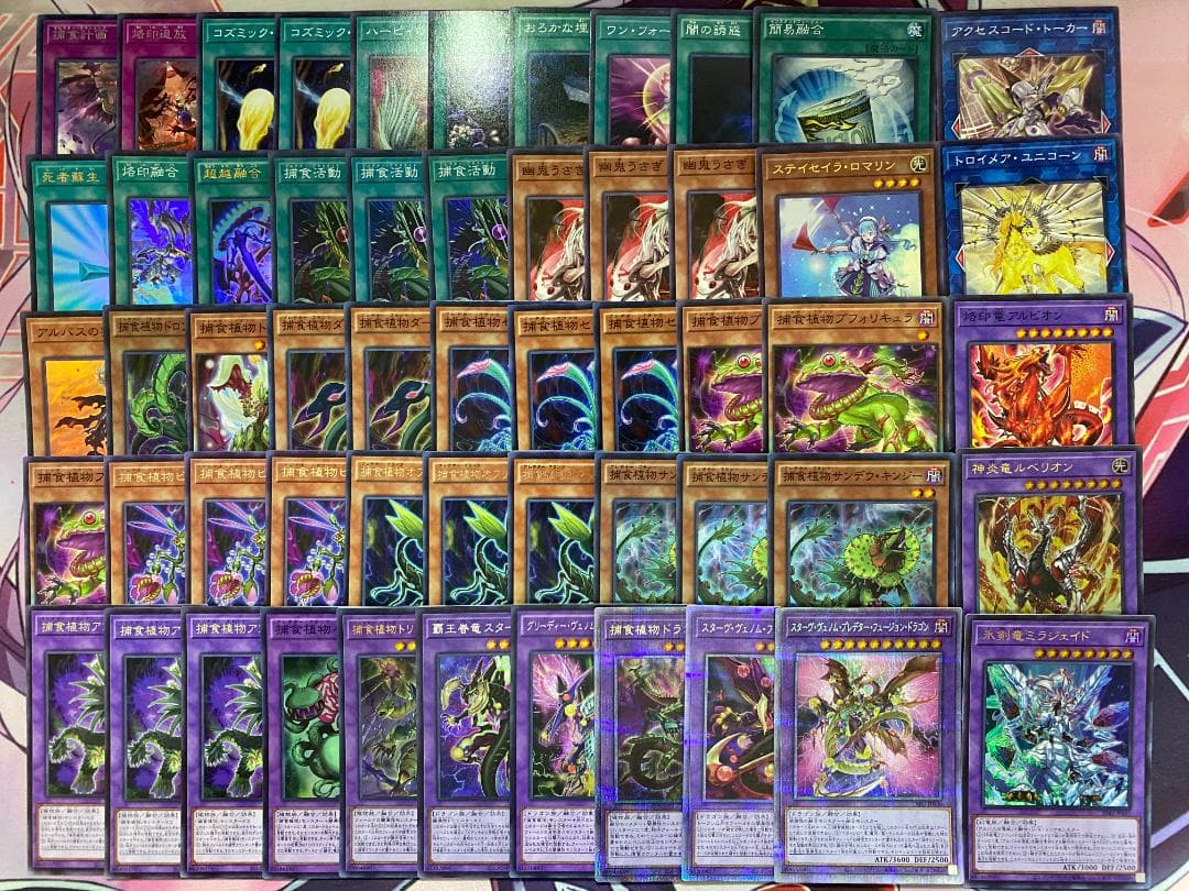 【24時間以内発送】遊戯王　烙印捕食植物（プレデタープランツ）本格構築済みデッキ