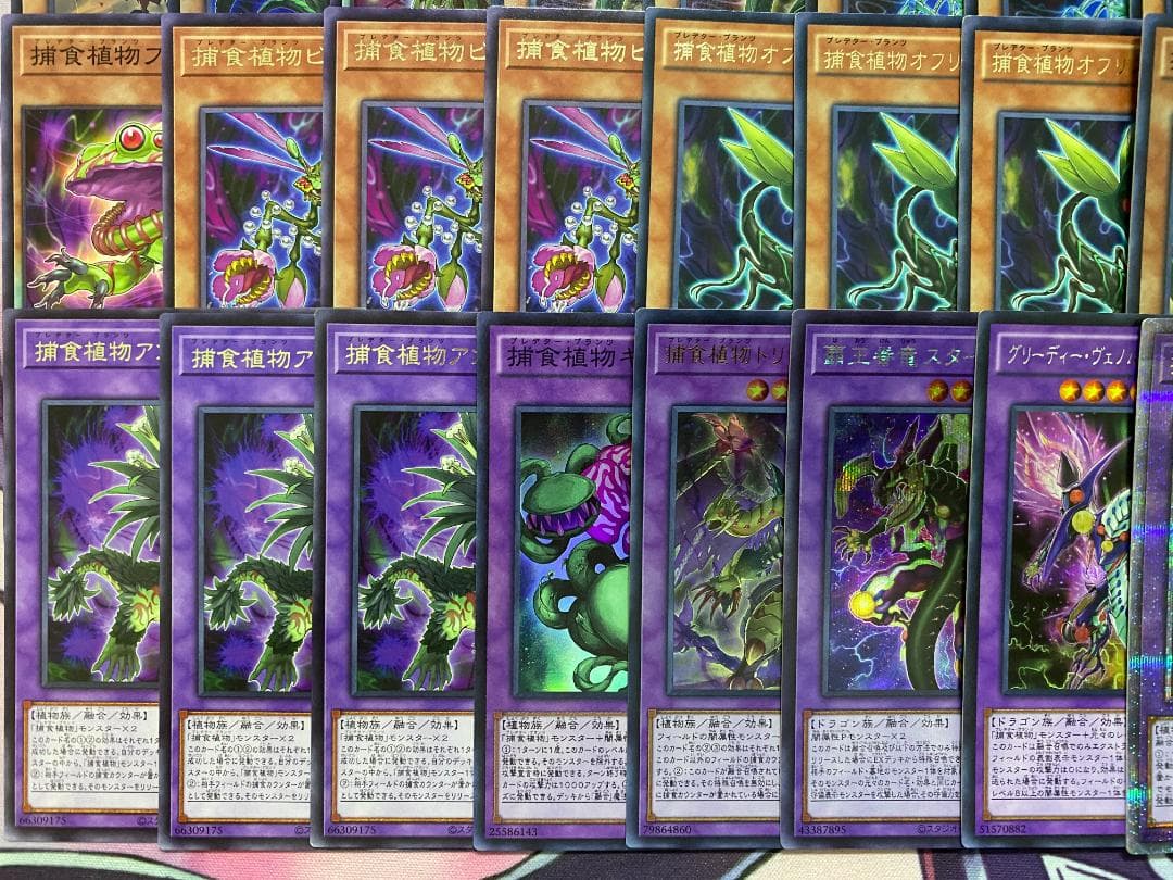 【24時間以内発送】遊戯王　烙印捕食植物（プレデタープランツ）本格構築済みデッキ
