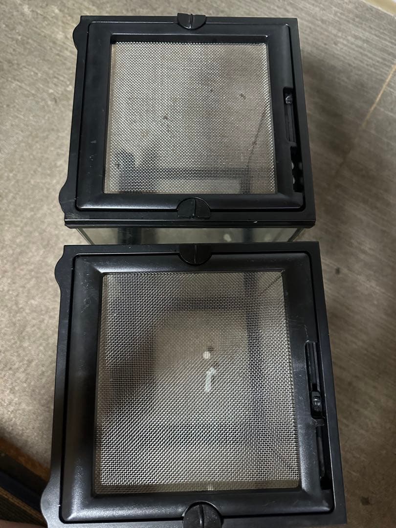 エキゾテラ　グラステラリウム2個セット　値下不可