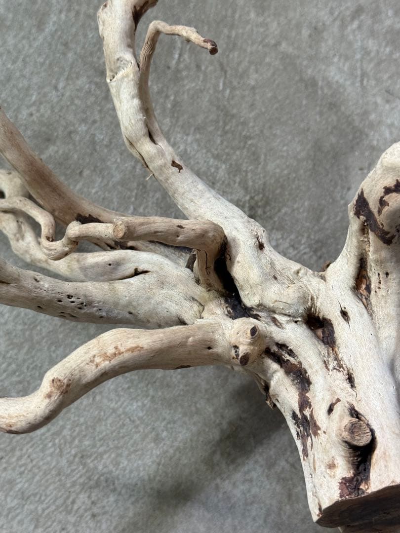 ADA ブランチウッド うす白