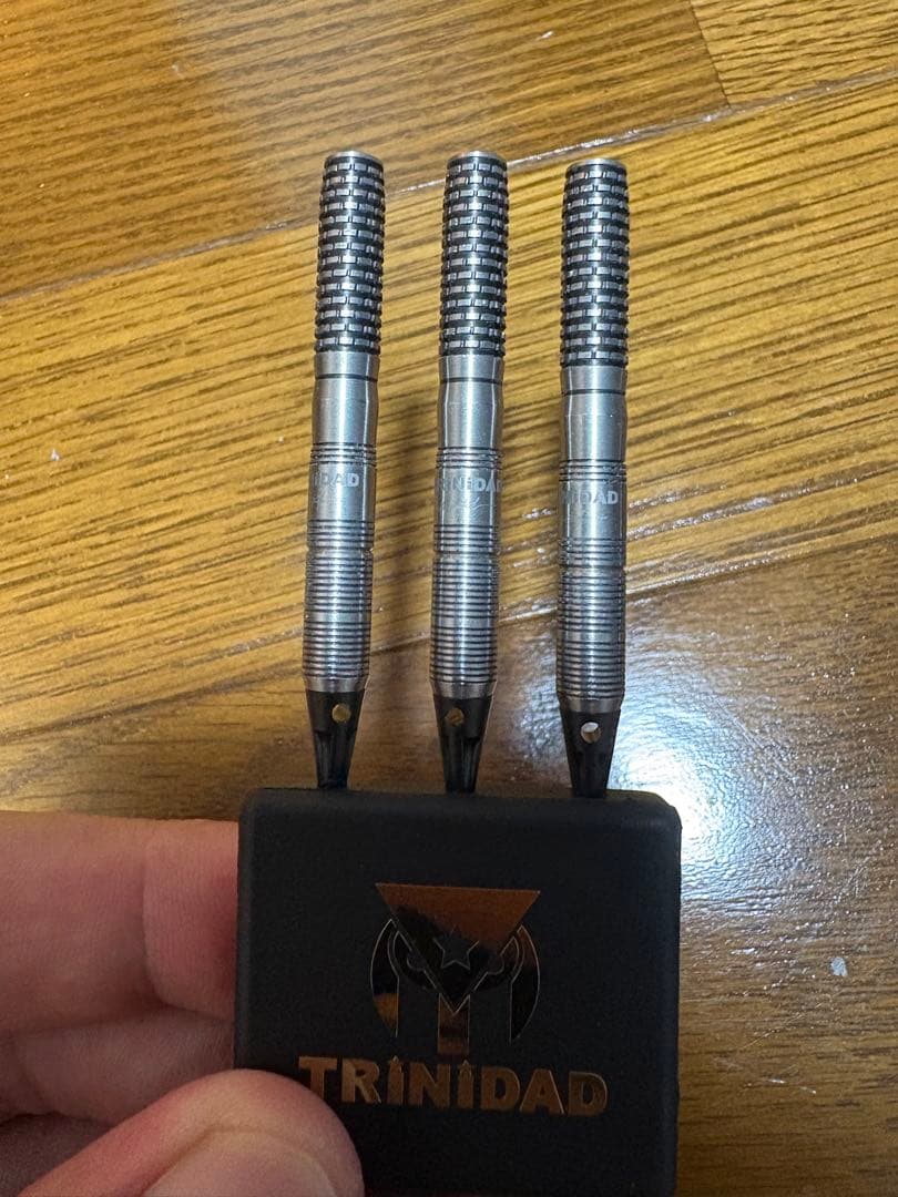 Z*n様 TRINIDAD ヒューゴタイプ2 エスダーツ限定モデル　ヒューゴリョ