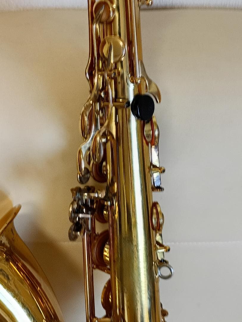 ヤナギサワテナーサックスT-50