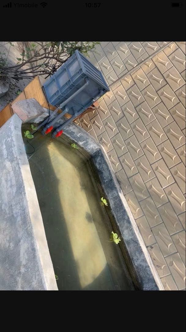 (水漏れ心配無用)ポンプ付き池フィルター万能濾過装置 池フィルター最高濾過装置大