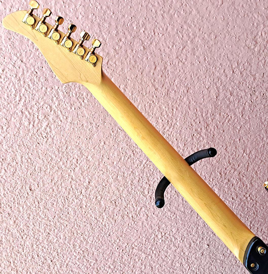 ■FERNANDES FR-75 F.G.I. PRO フェルナンデス