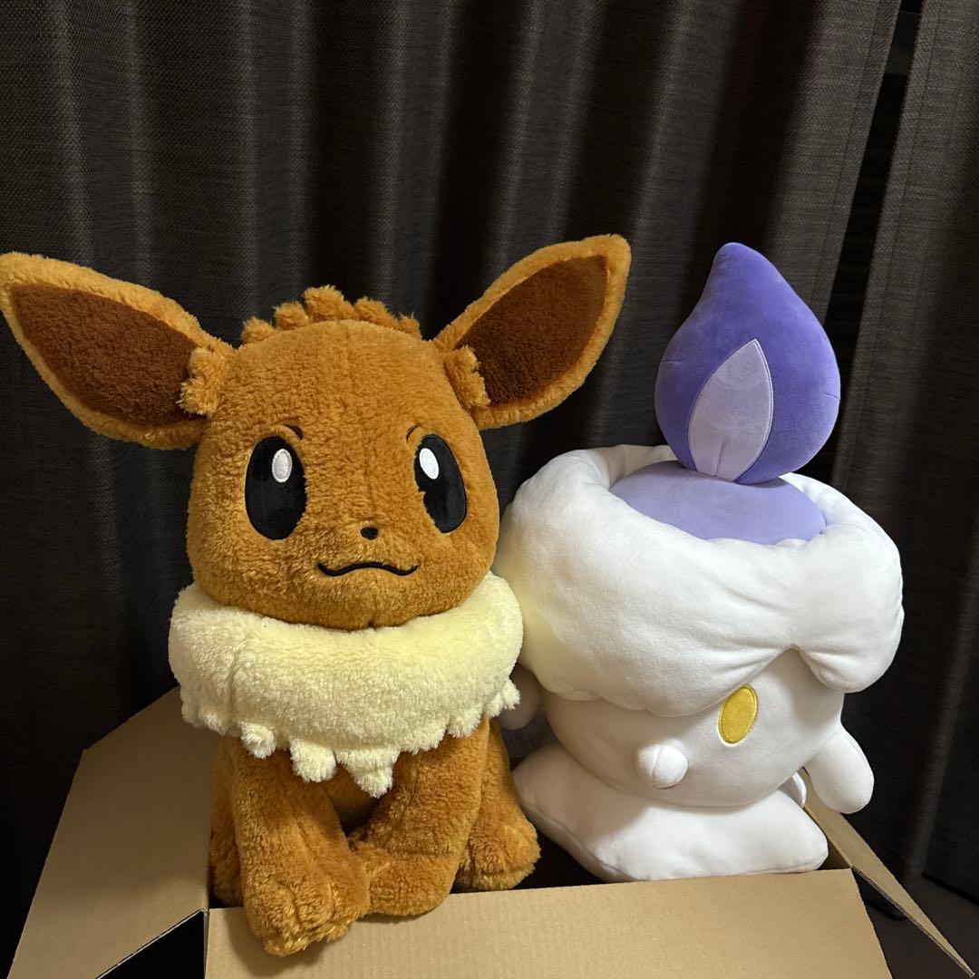 イーブイ　ヒトモシ　ぬいぐるみ　セット