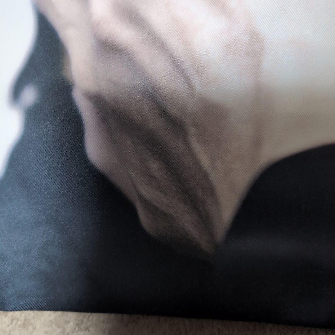 BUCK-TICK　クッションカバー