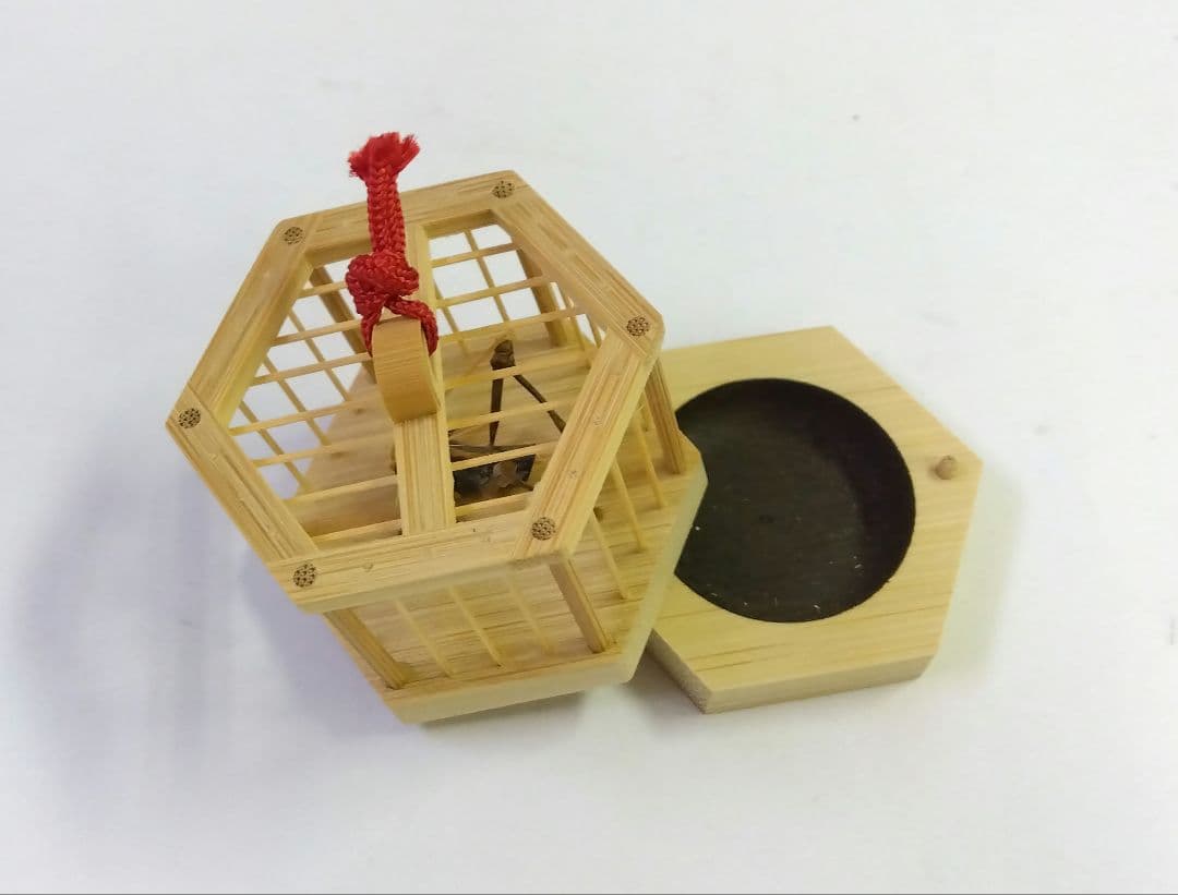 茶道具 香合 竹 六角 虫籠 竹細工師 竹遊 新品