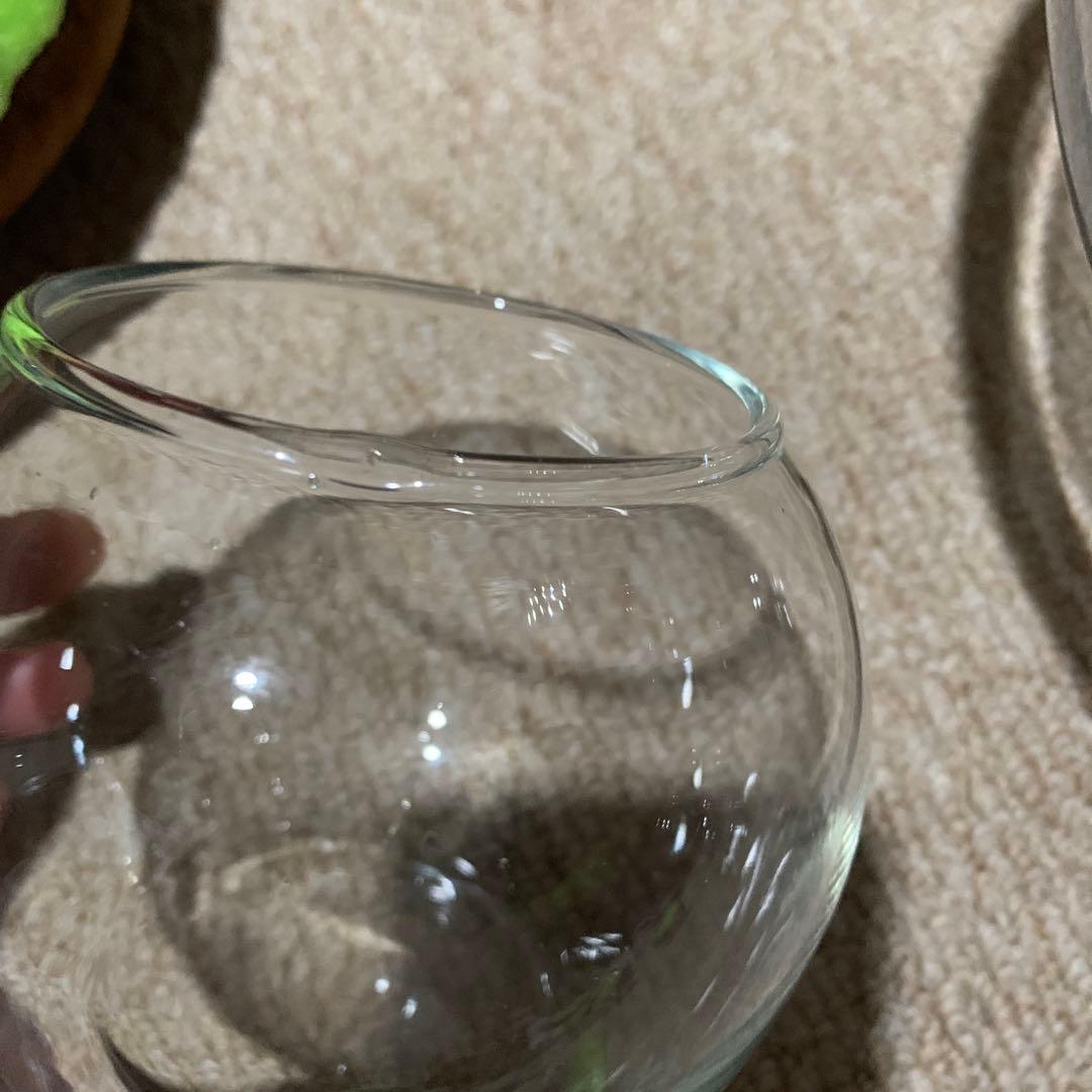 金魚鉢　ボウル　ガラス　テラリウム　アクアリウム　花瓶