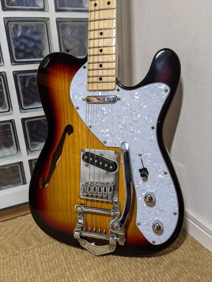 SX Telecaster Thinline (改造)
