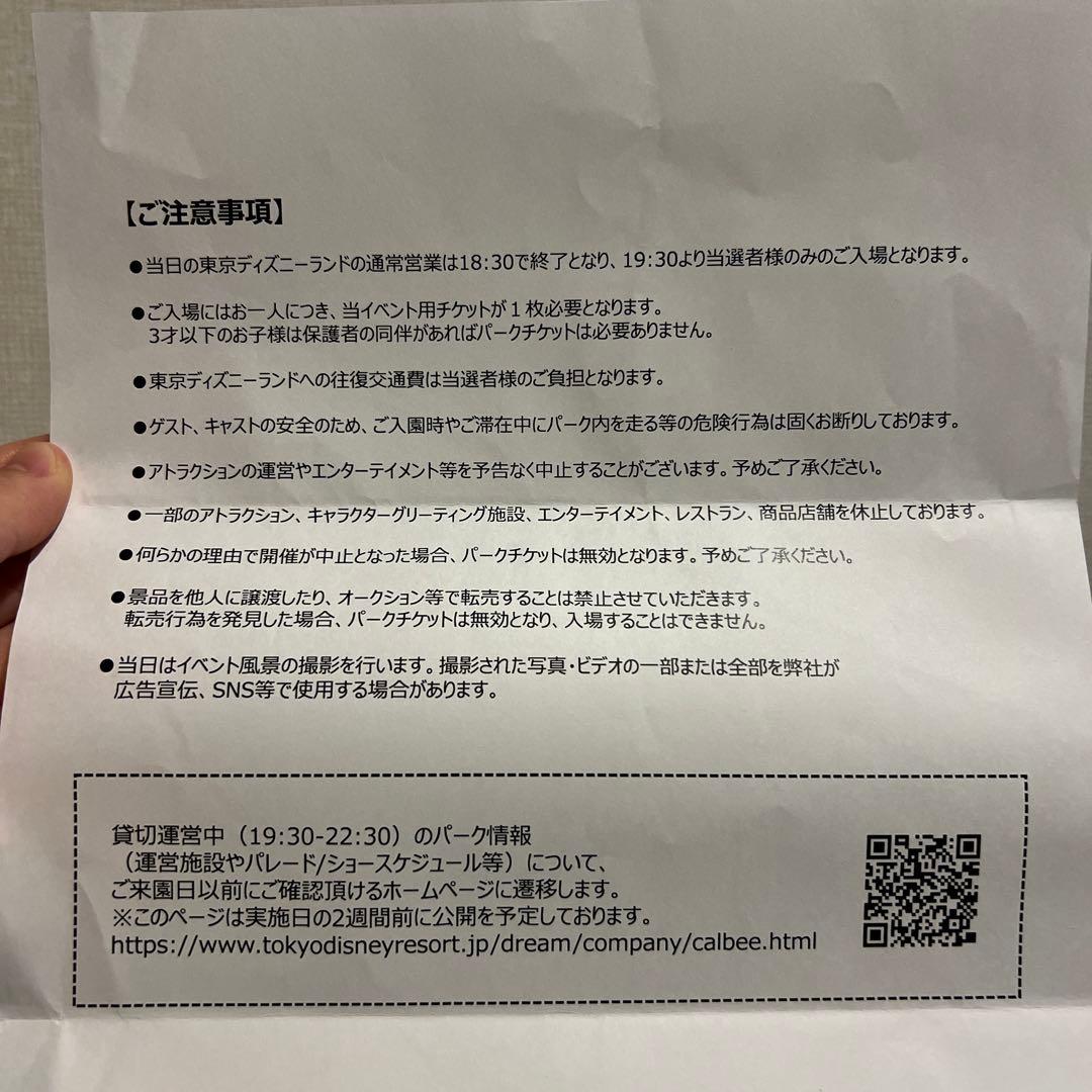 ✴︎緊急値下げ✴︎ディズニーランド 貸切2025
