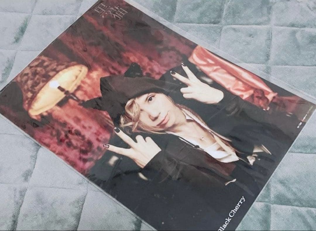 【美品】 Acid Black Cherry ポスター 10点
