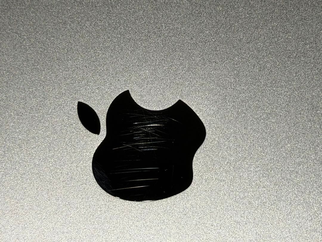 Apple iPad mini 5 本体　256GB wifiモデル