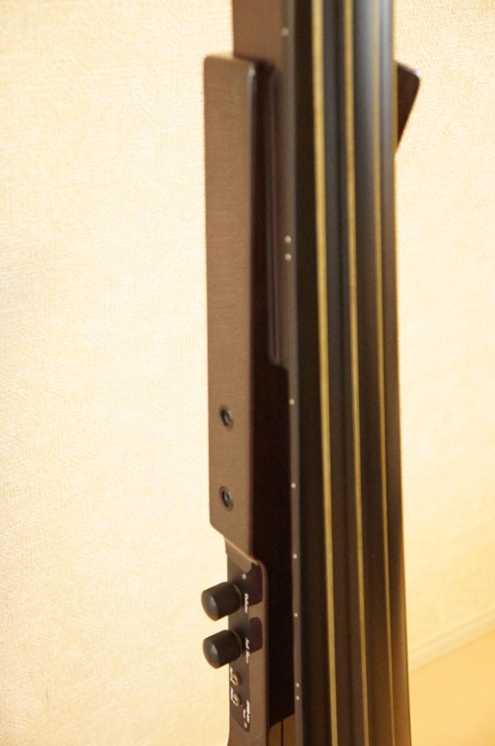 Hallstatt KYB-200 アップライトベース　ケース付き