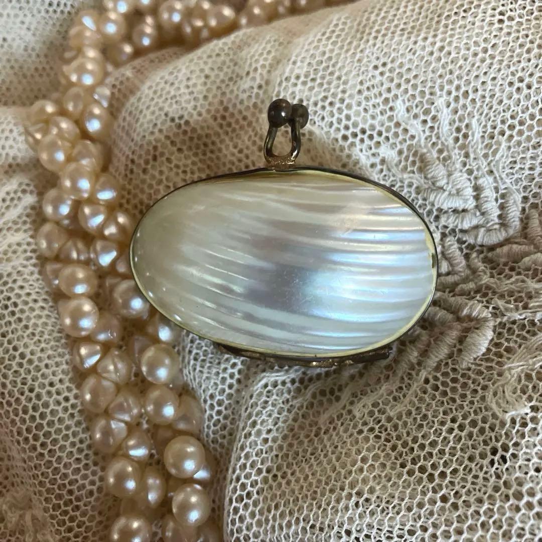 フランスアンティークマザーオブパール　白蝶貝